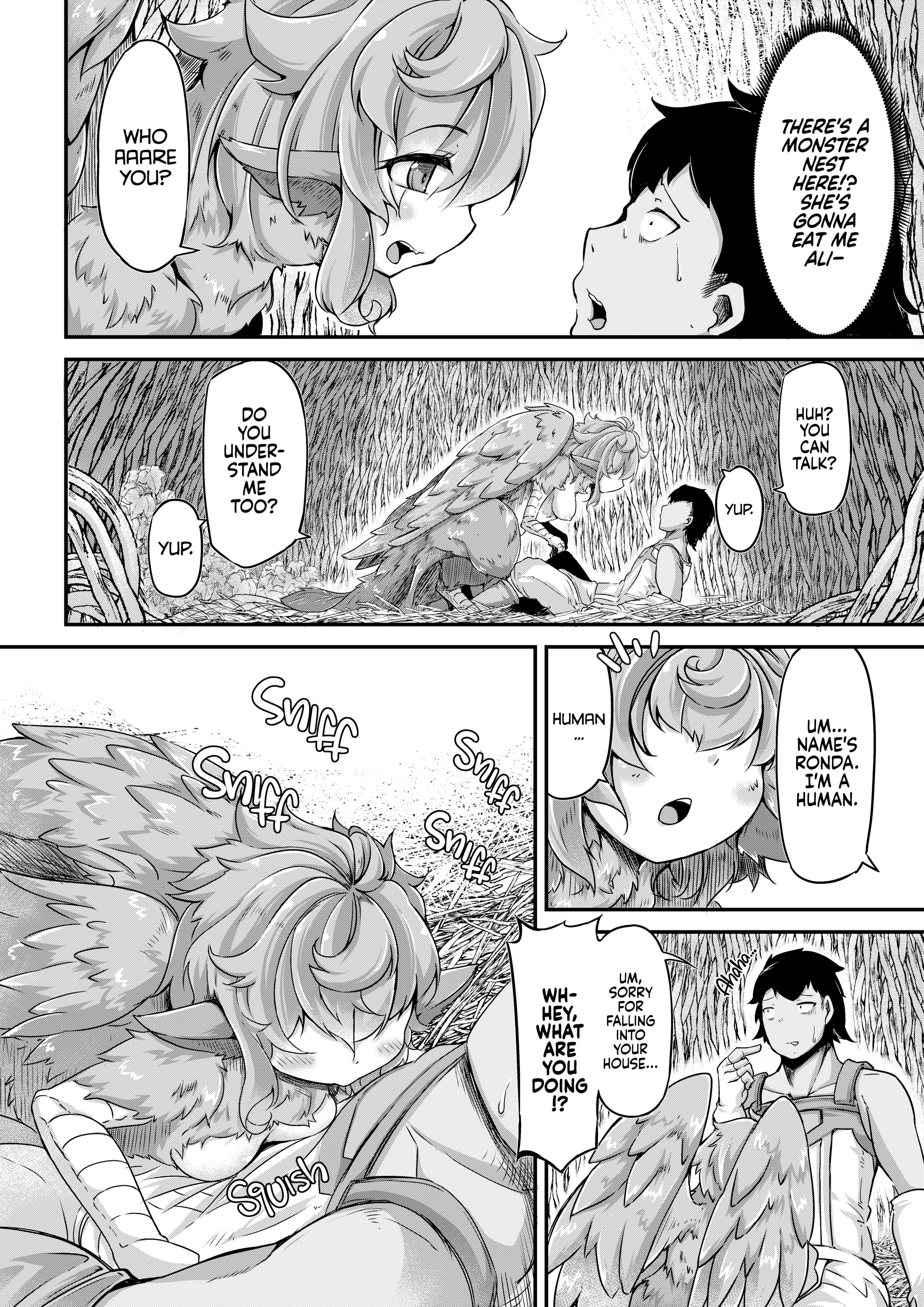 Fisherman and Harpy Girl porn comic picture 4