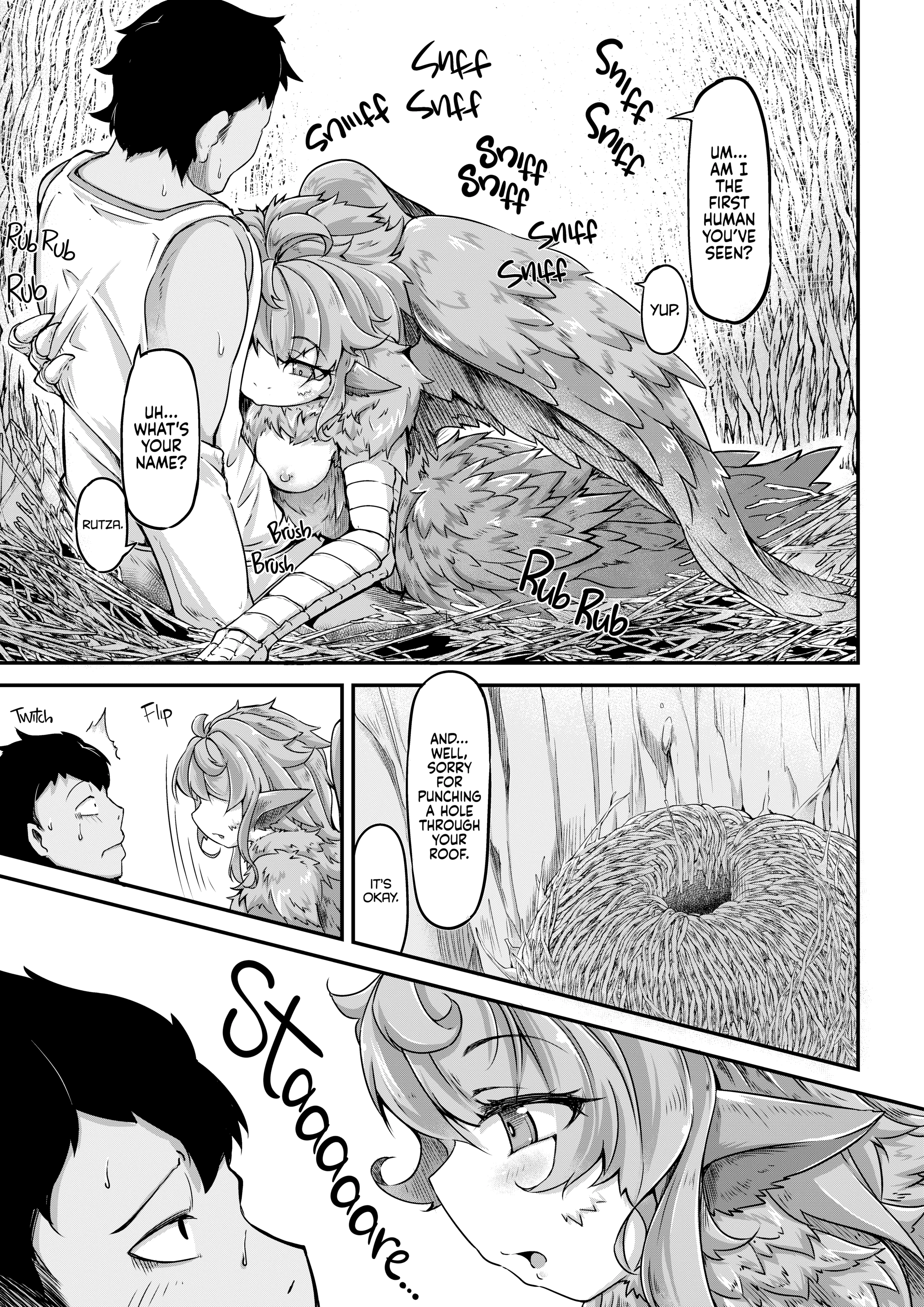 Fisherman and Harpy Girl porn comic picture 5