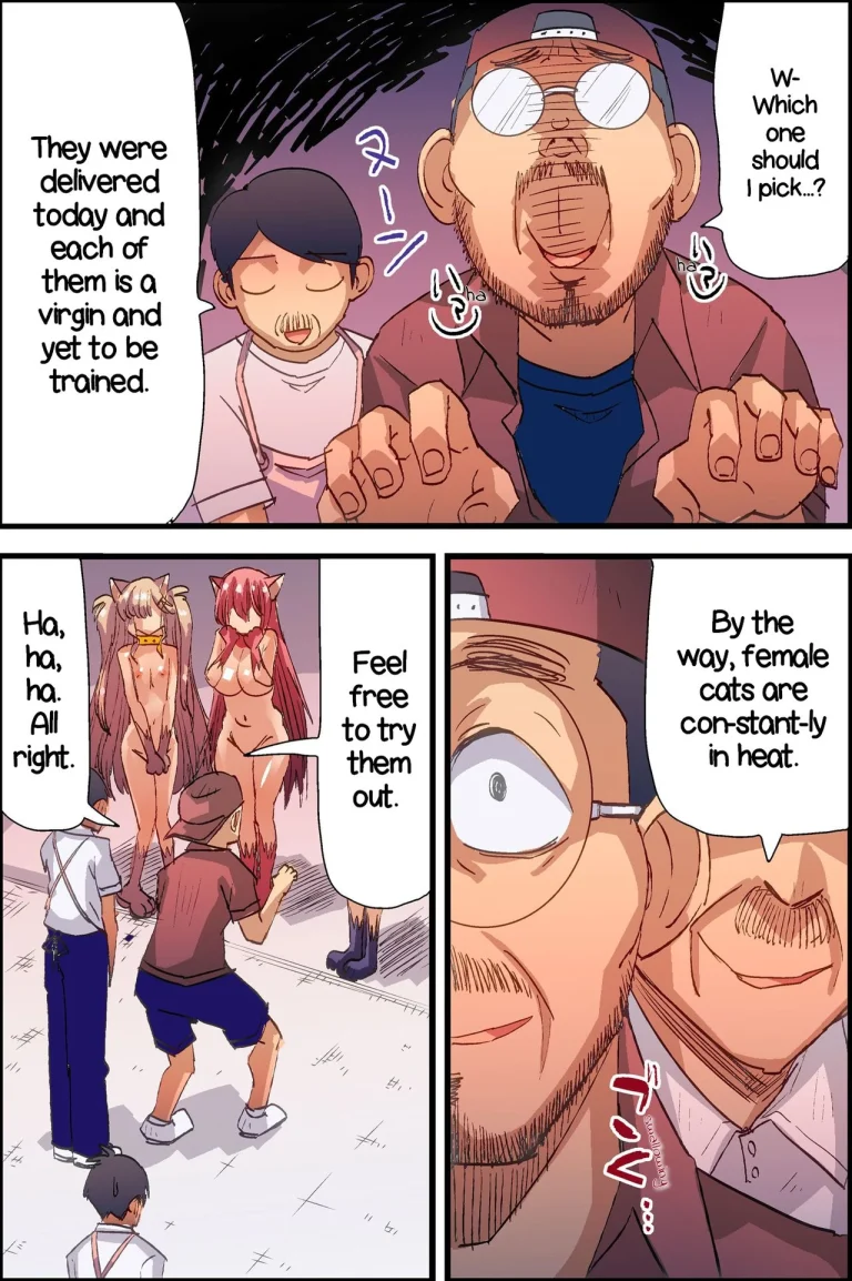 New Female Cats in Stock Toda porn comic picture 7