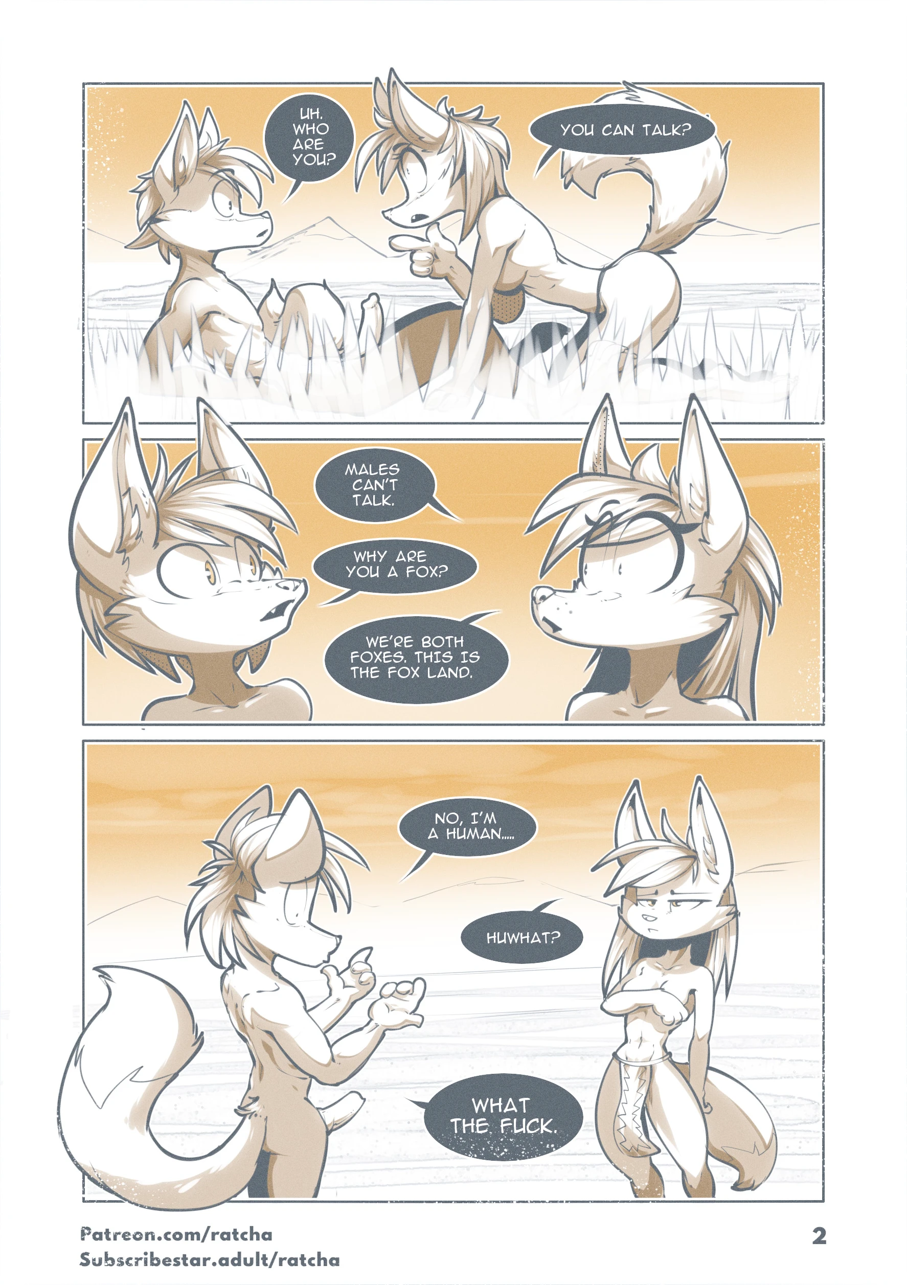 Reincarnated In Another World As A Furry Fox porn comic picture 2