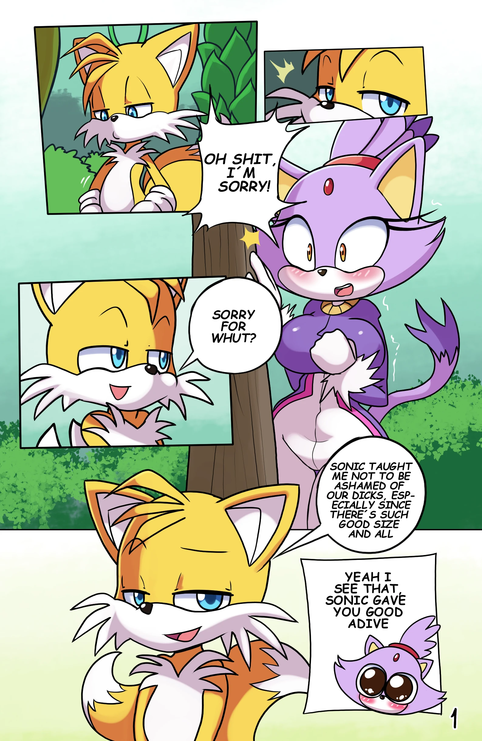 Tails Rush'd Blazy Mix 1-2 porn comic picture 2