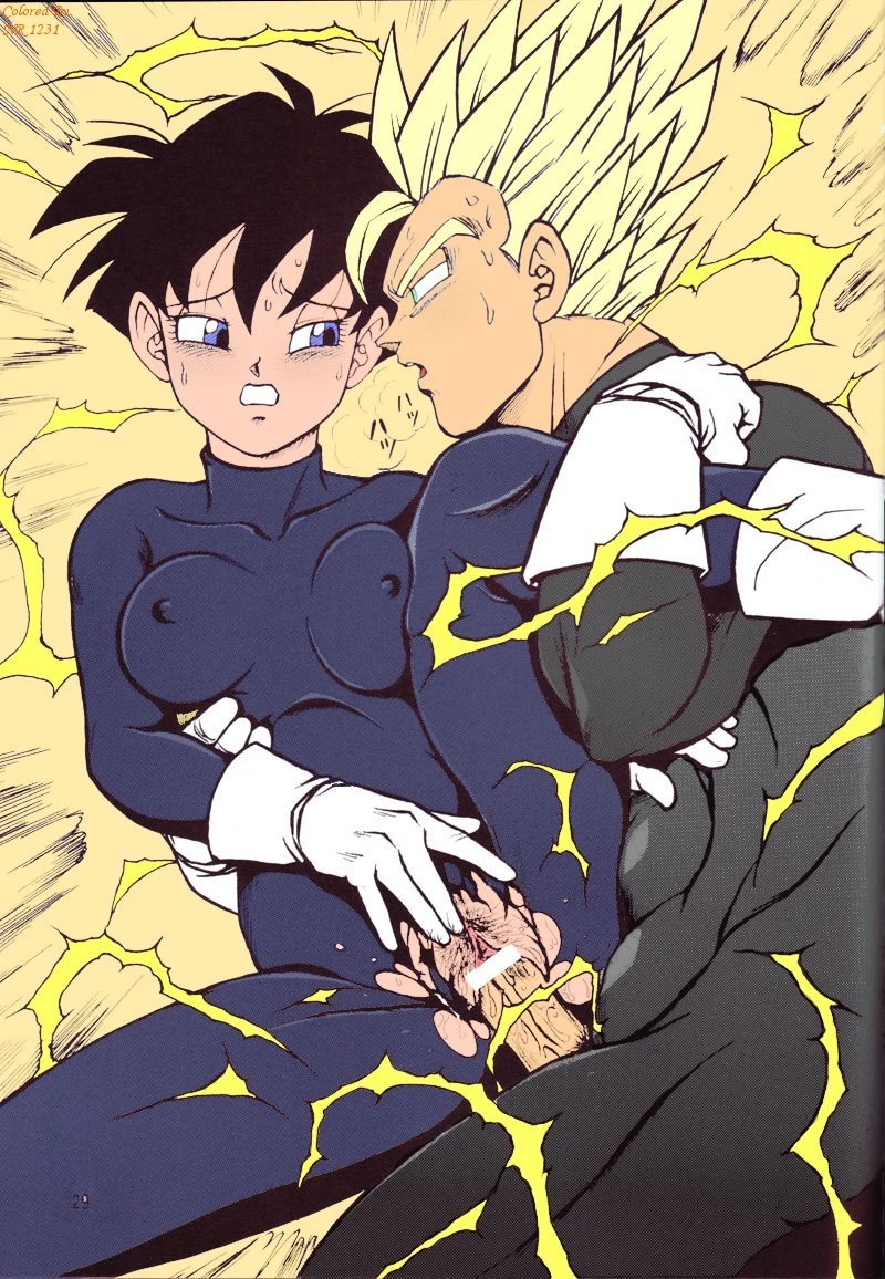 DragonBall H Maki San porn comic picture 27